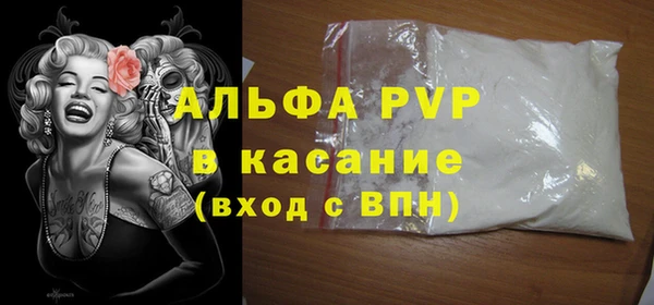 прущие грибы Переславль-Залесский