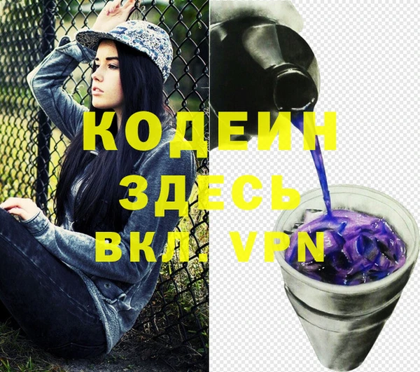 прущие грибы Переславль-Залесский