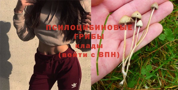 дурь Пересвет