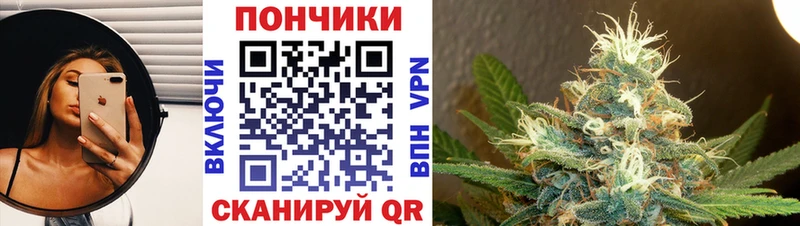 Шишки марихуана конопля  Покачи 